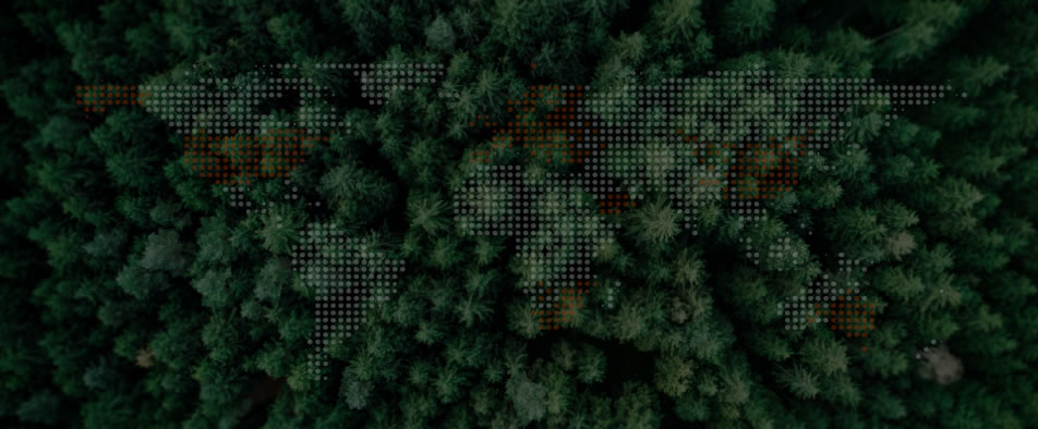 米乐m6全球零碳案例