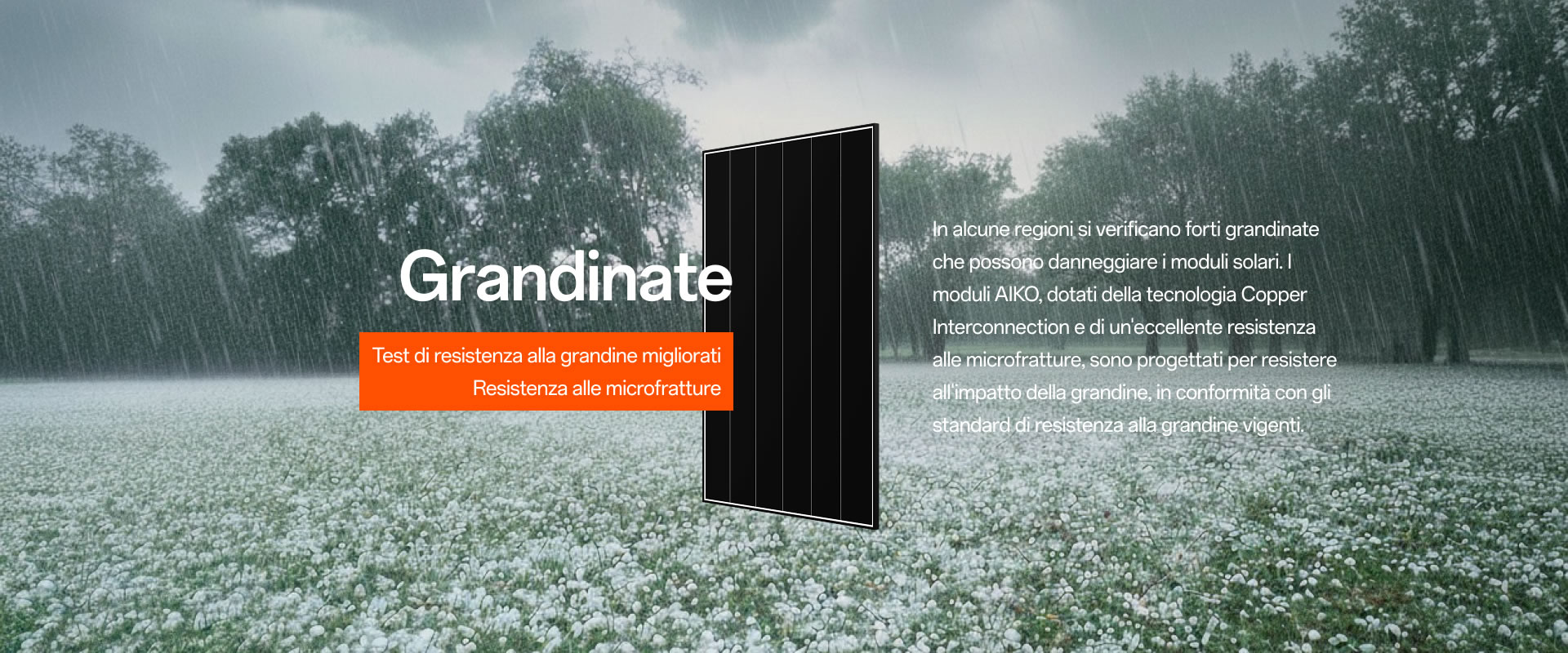Grandinate