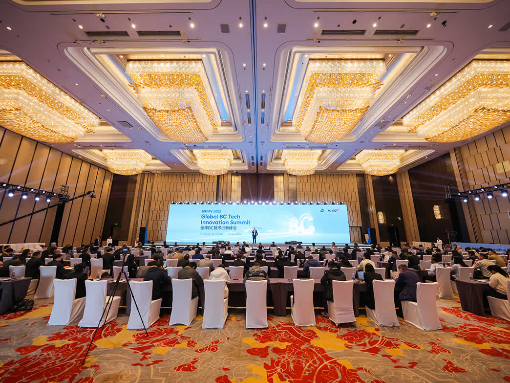 BC引领光伏价值新时代，，，，，，，全球BC手艺立异峰会乐成举行